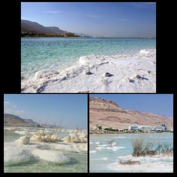 Вілла Nadia Hosting Dead Sea Неве-Зогар Екстер'єр фото