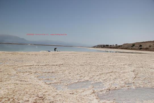 Вілла Nadia Hosting Dead Sea Неве-Зогар Екстер'єр фото
